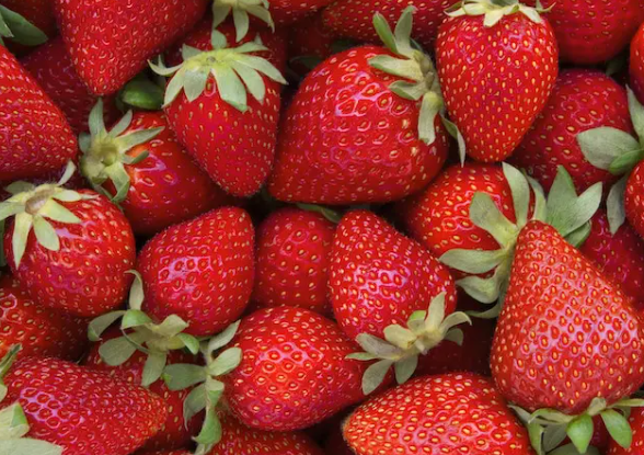 What is Fisetin.png What is Fisetin.png